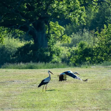 Heimaey, Ljosheimar Passee